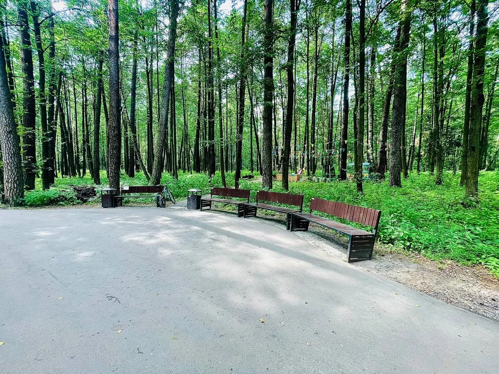 Комфортная студия в сосновом бору