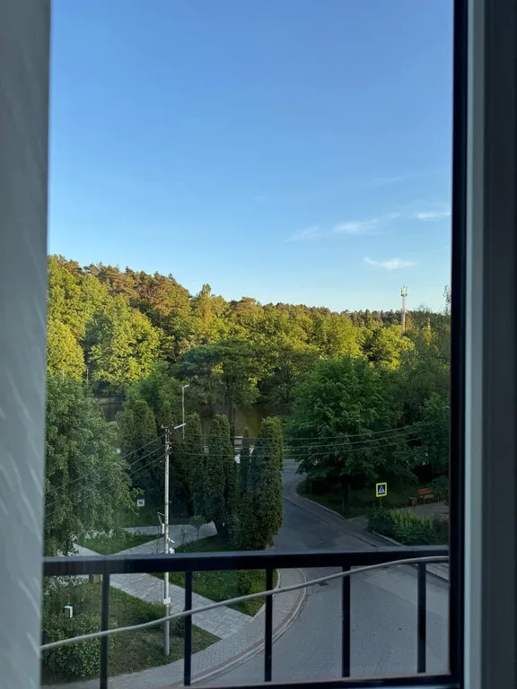 Квартира Апартаменты Дайкири — Светлогорск