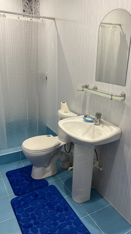 Дом для большой компании