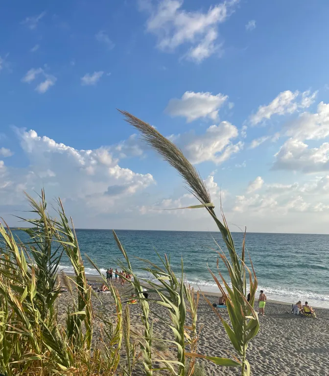 Уютный апартамент в 320 метрах от моря