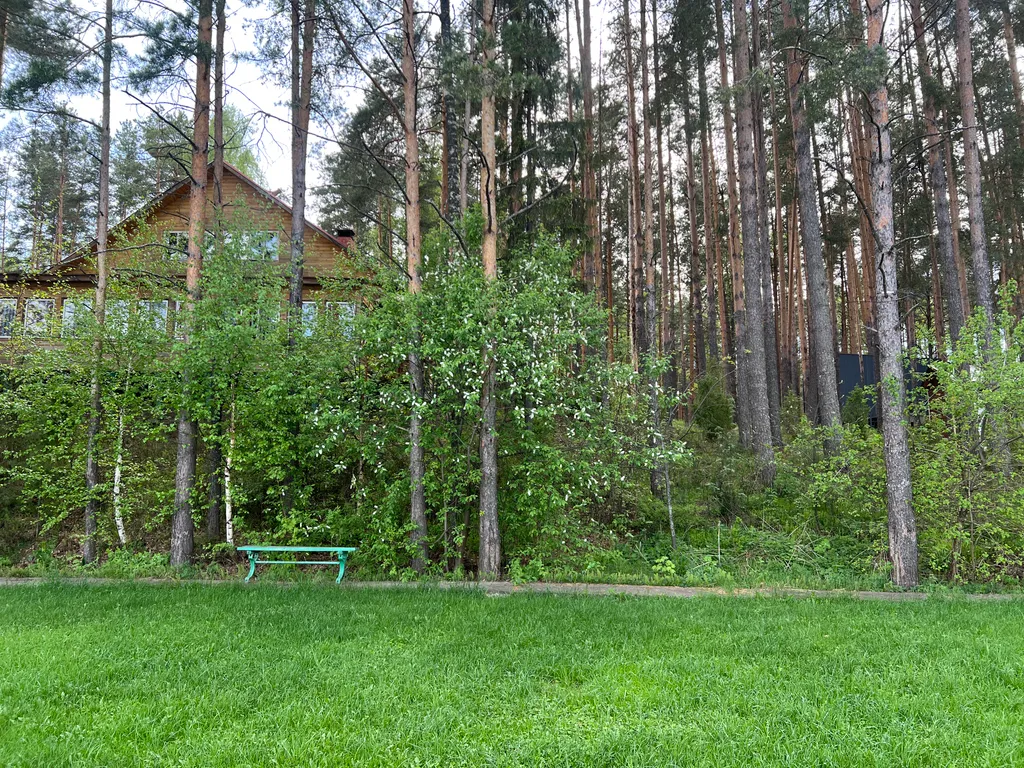 Современный модульный дом в лесу у реки (7)