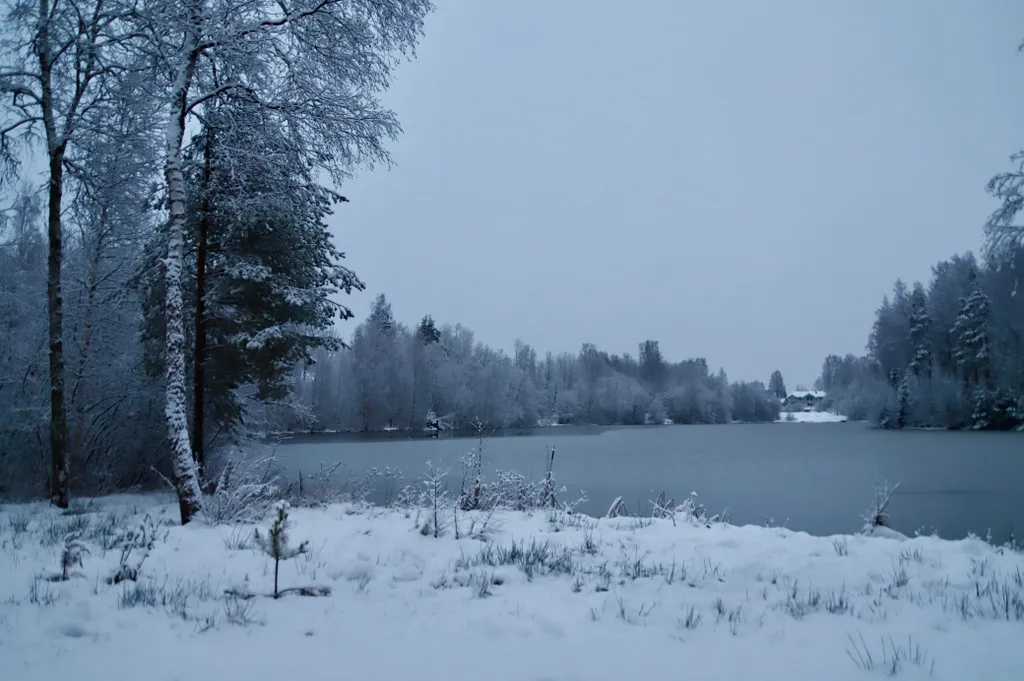 База отдыха Хэйлун Дом №4 Харбин