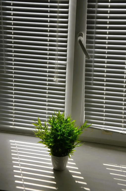 Уютная квартира в историческом центре