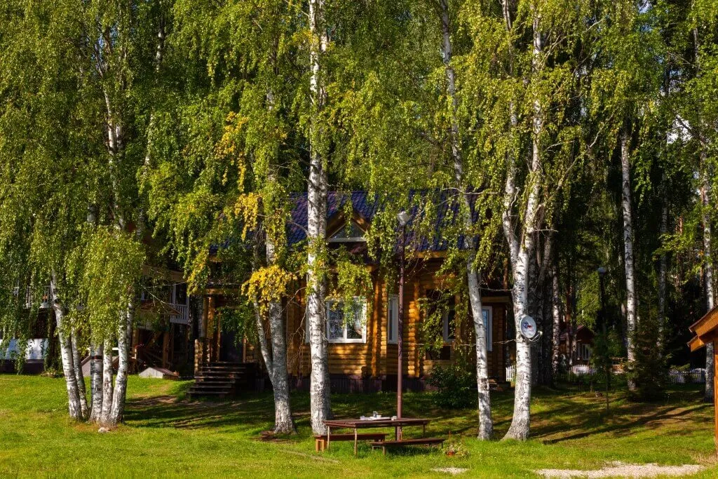 Бревенчатый дом 2 с видом на реку