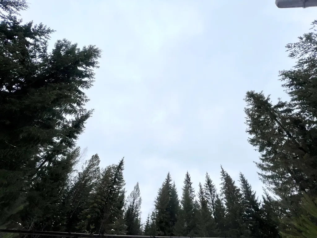 Домик у леса