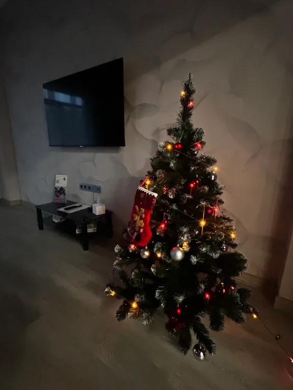 Просторная квартира в центре города