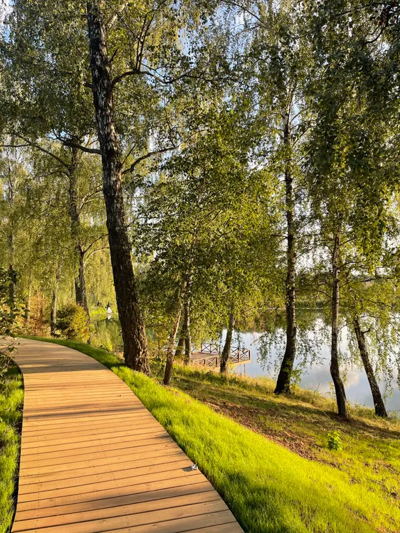 Уютный дом на берегу озера в березовой роще