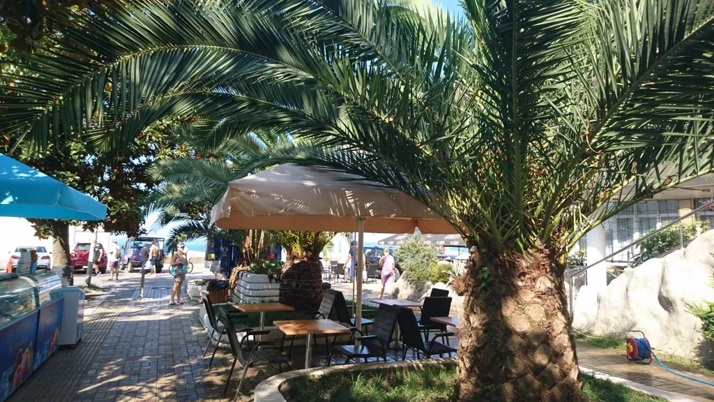 Квартира Квартира для отдыха на море — Адлер