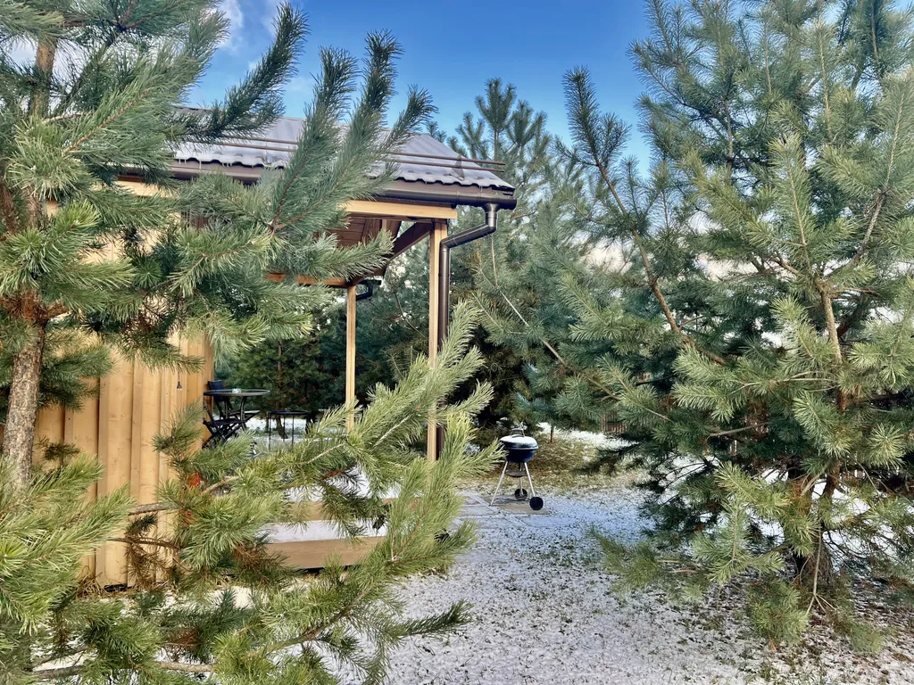 Коттедж 44м в лесу у пруда