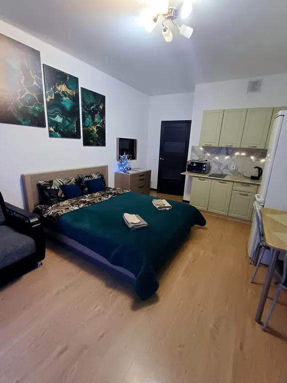 Уютная современная квартира-студия