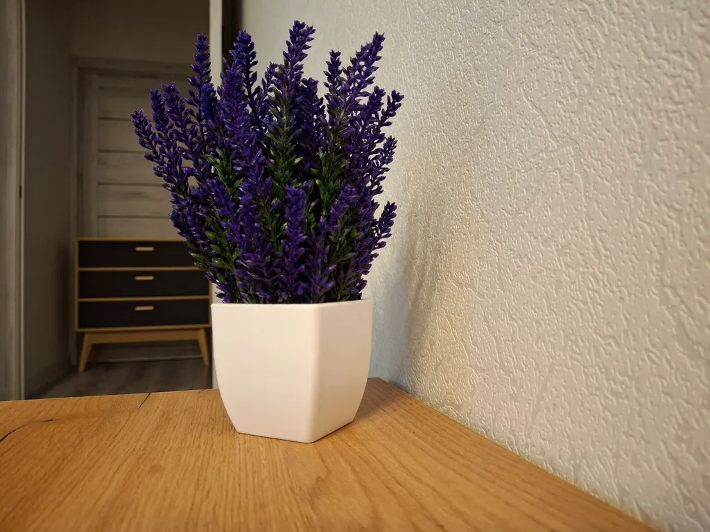 Семейный двухкомнатный люкс с балконом 15