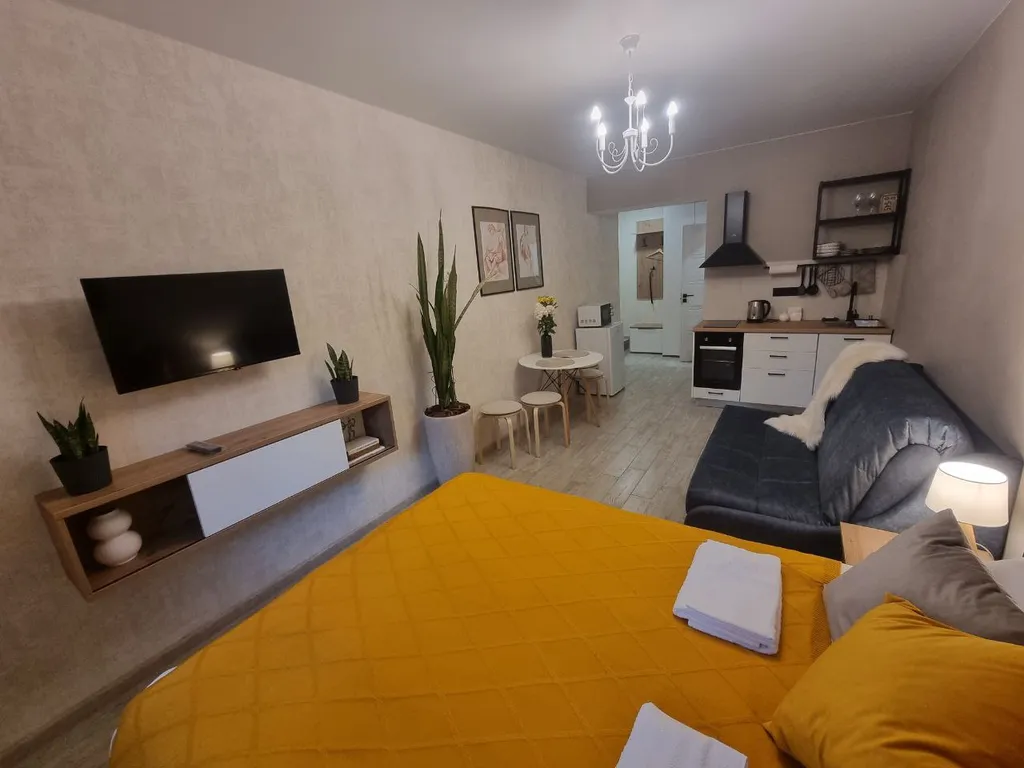 Квартира 1-комнатная Квартира — Тверь