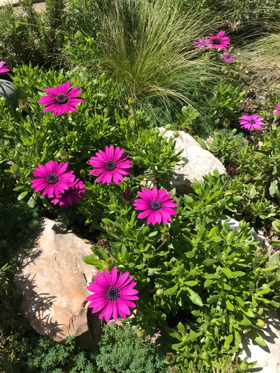 Квартира Делюкс комната с удобствами в лучшем районе Сириуса — Сириус