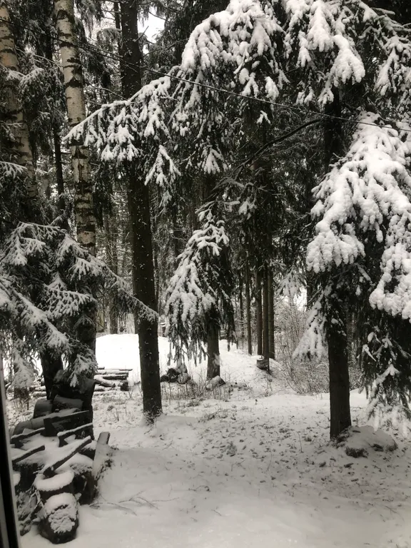 Домик в сосновом лесу