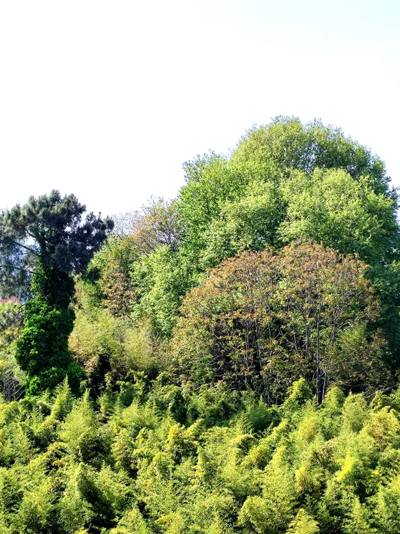 Квартира Квартира Студия в Парке — Сириус