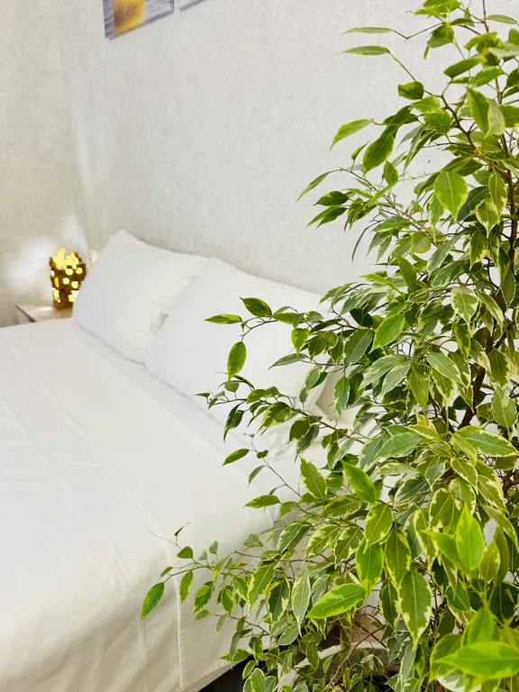 Квартира в центре исторической части города