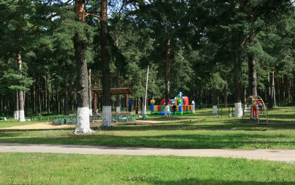 Апартаменты в сосновой роще