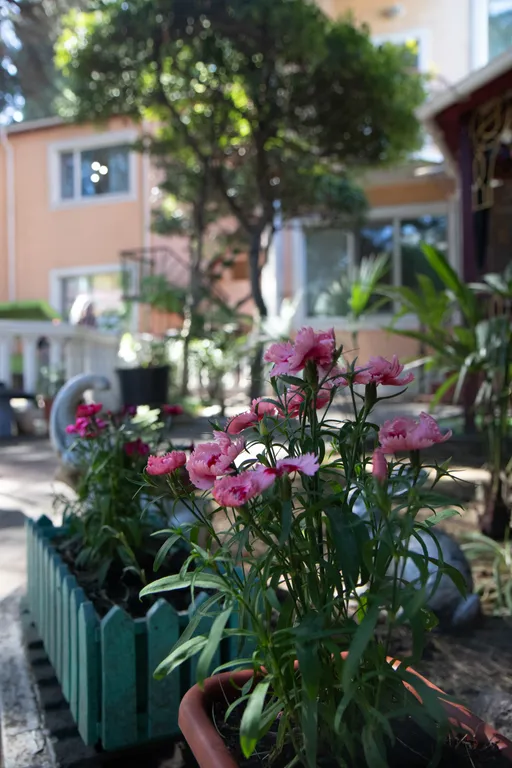 Квартира в центре Ялты на Чехова