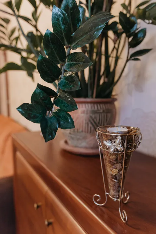 Квартира Апартаменты у Верхнего озера — Калининград