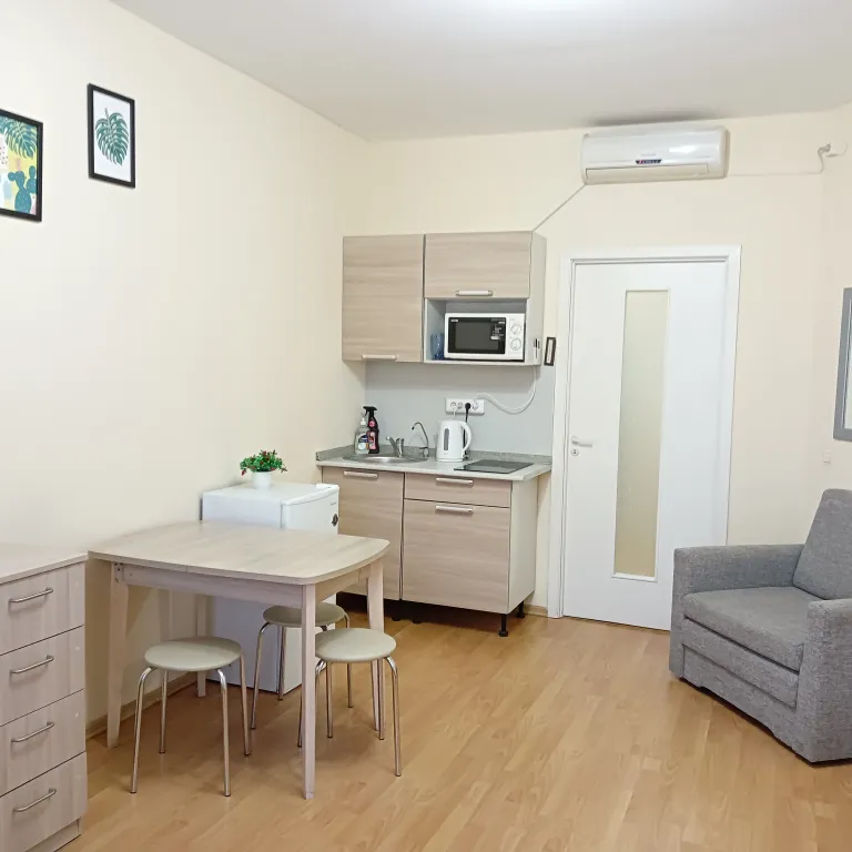 Квартира в центре города с видом на Покровскую башню и реку Великую