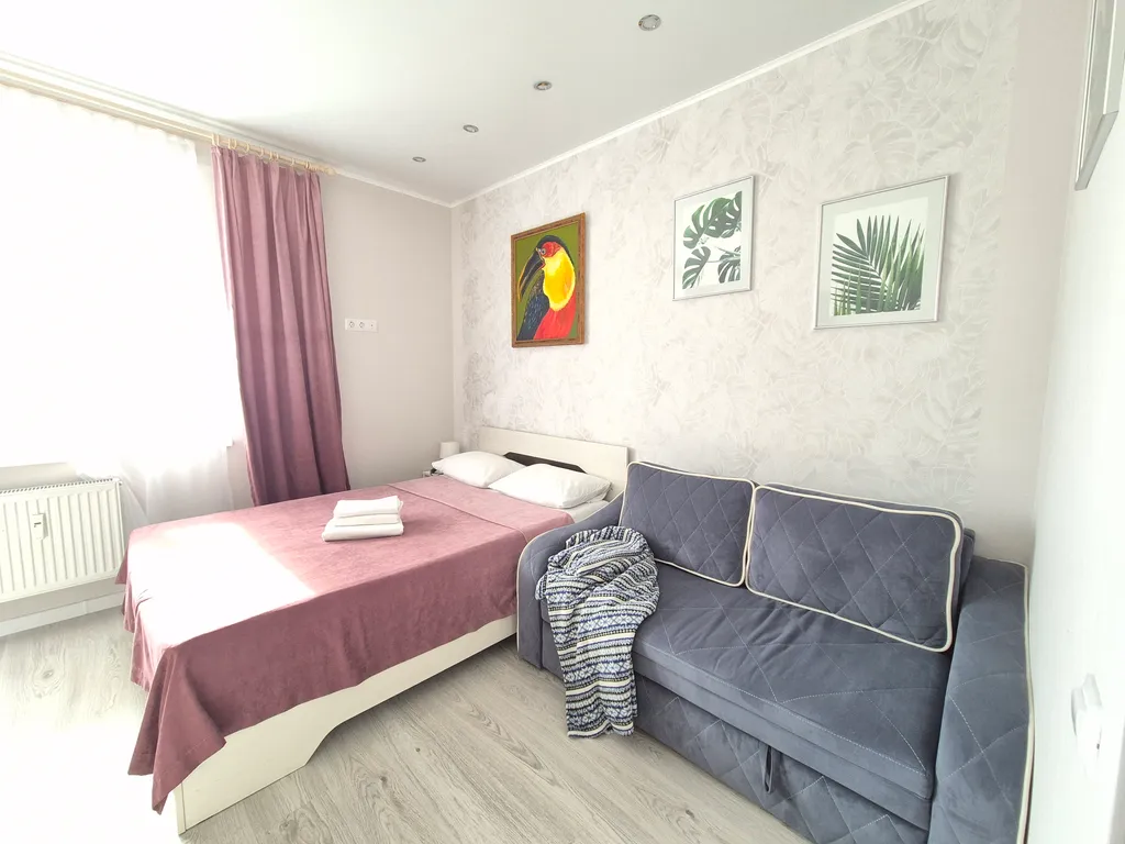 Джунгли квартира-студия