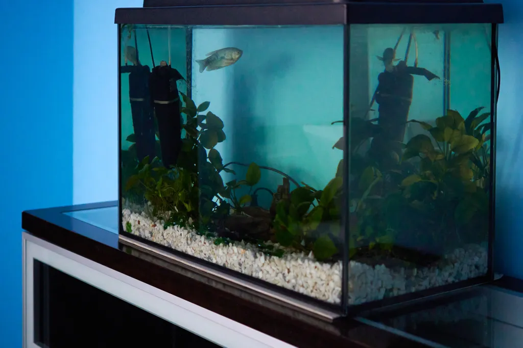 Квартира Квартира Люкс в Рыбной деревне — Калининград