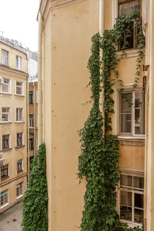 Просторная квартира рядом с Невским проспектом с парковкой