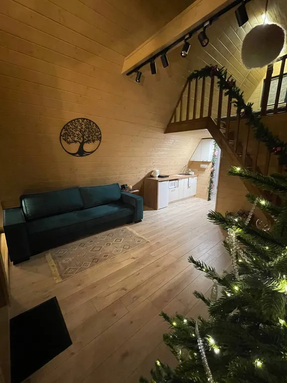 Дом А фрейм с видом на Мирский замок