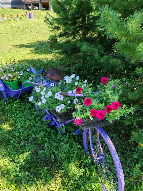 Дом с видом на горы