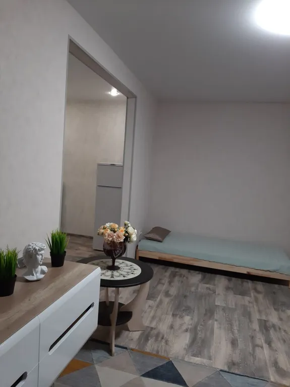 Двухкомнатная квартира в центре города