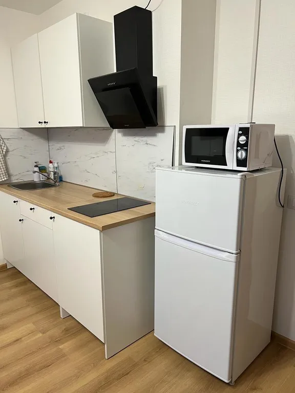 Квартира Квартира Уютная студия рядом с НИИ Петрова, Гранова, Напалкова — Песочный