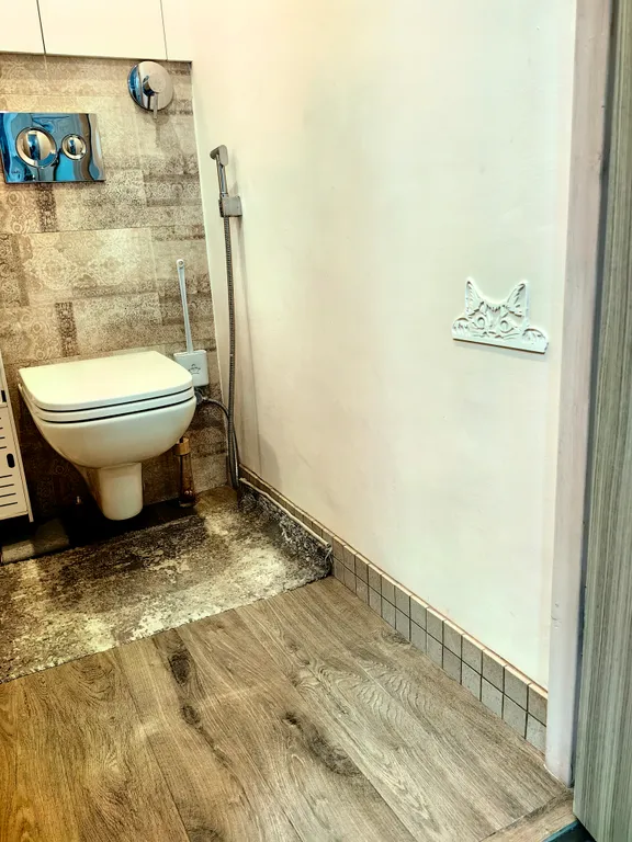 Квартира с фитосауной в частном доме