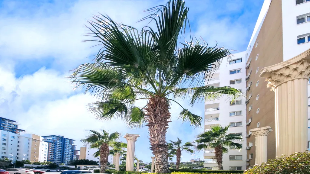 Апартаменты Vitus Caesar Resort Design Studio