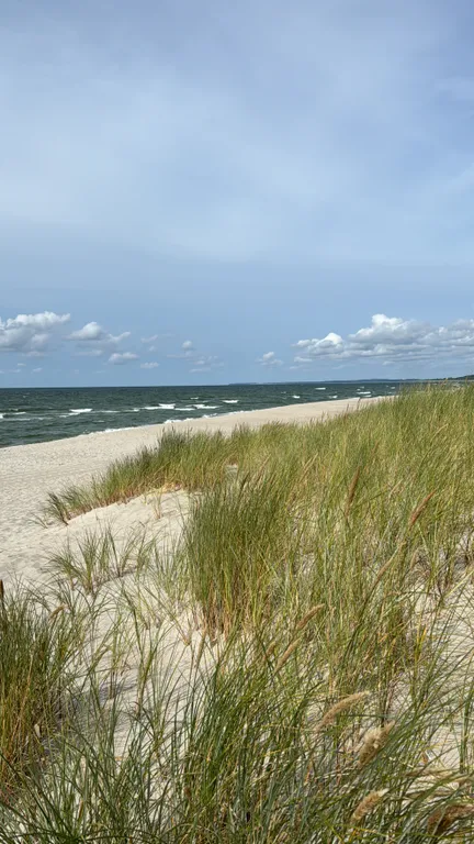 Уютный панорамный домик в глэмпинге у моря