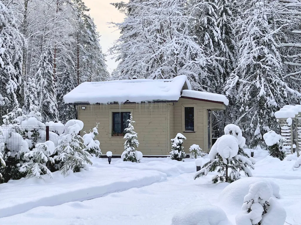Коттедж Уютный домик на озере Волго на Селигере в сосновом бору — Турбаза Чайка