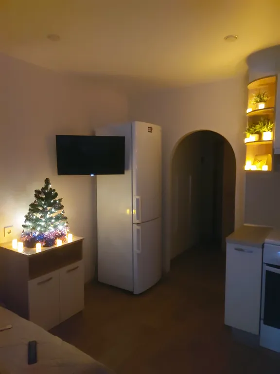 Квартира-студия Гармония