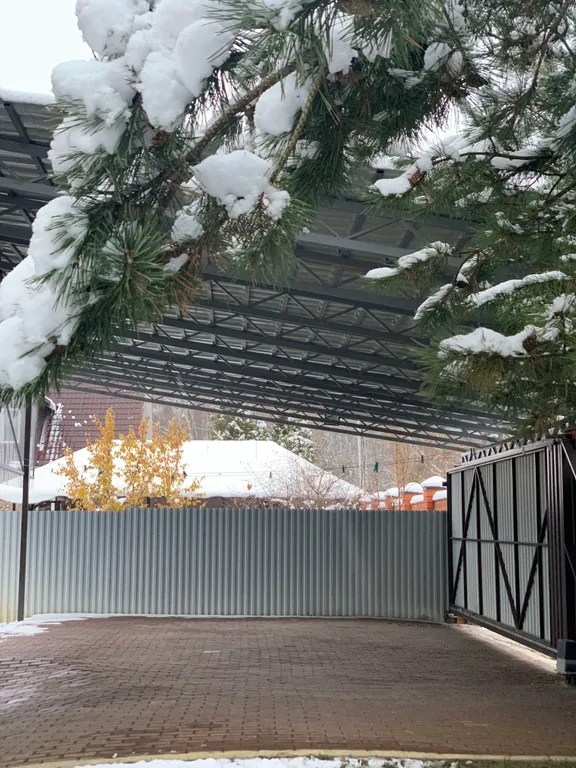 Дом в окружении леса