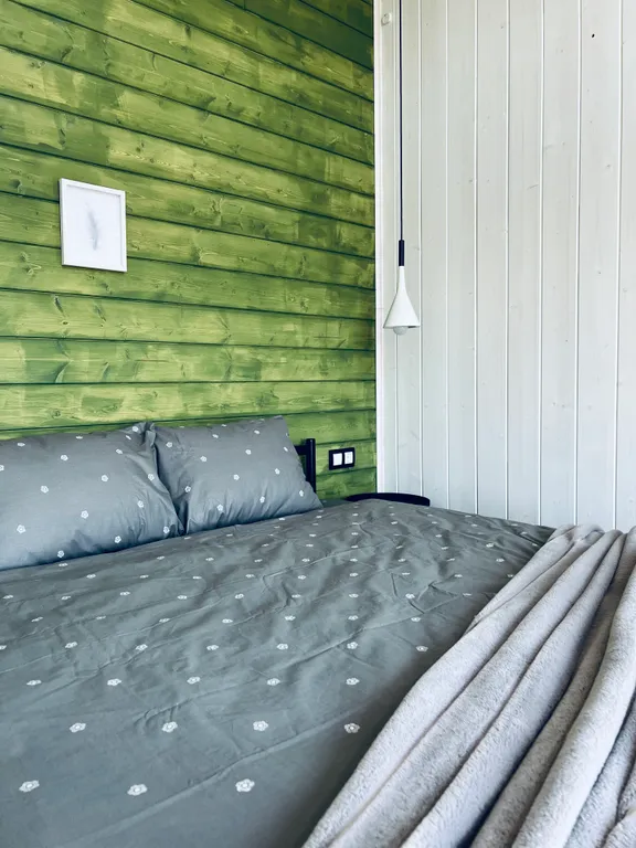 БарнХаус с купелью у озера