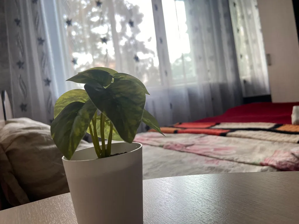 Квартира с ремонтом в самомо центре города