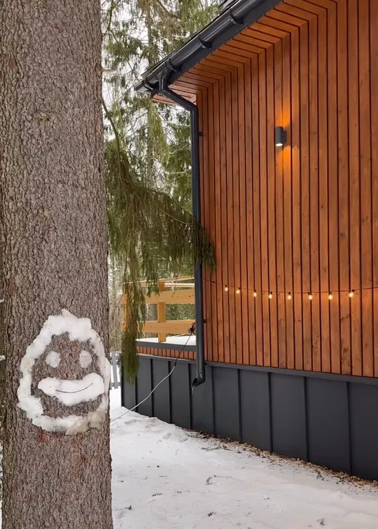 Дом с чаном и сауной в лесу