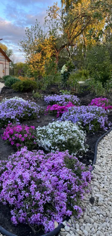 Эко дома Горыныч House рядом с Кудыкиной горой