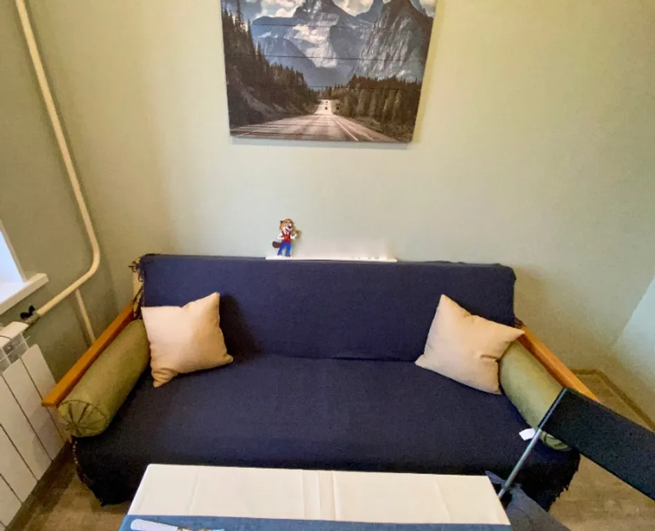 Эко-квартира рядом с платформой Кутузовская