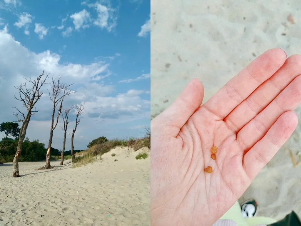 Уютная квартира рядом с морем