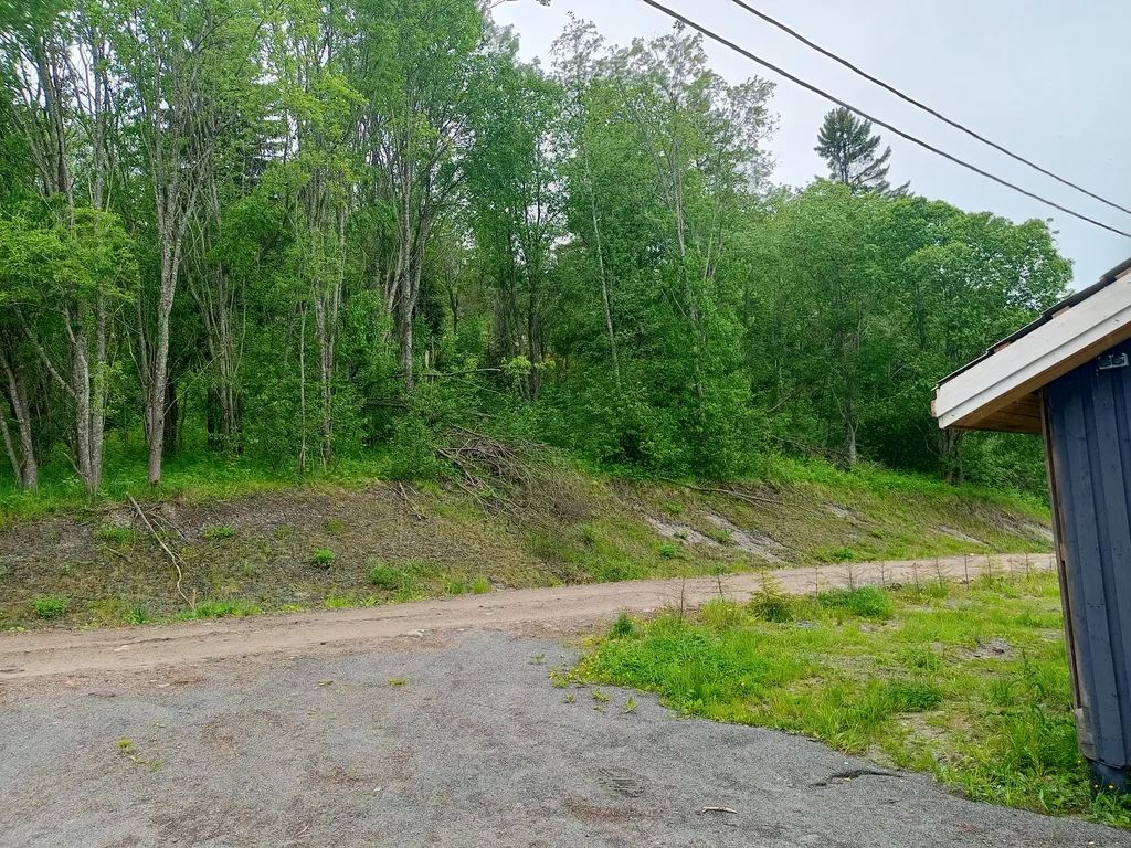 Дом на берегу ладожского озера, в живописном месте