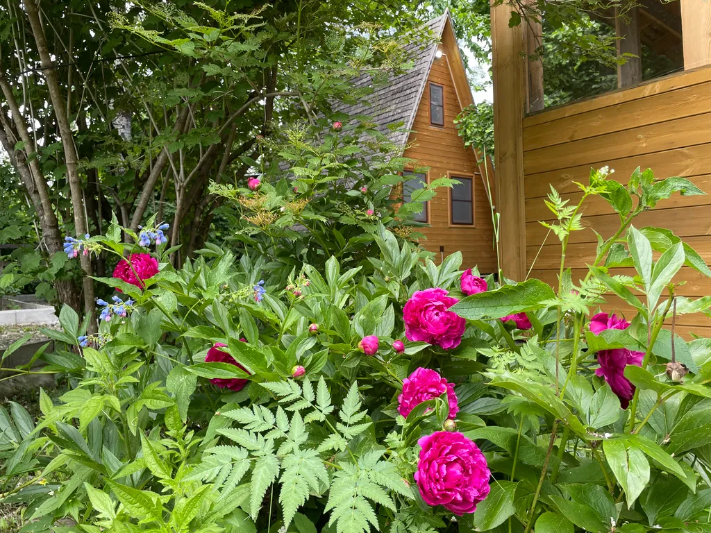 Гостевой дом Теремки у реки