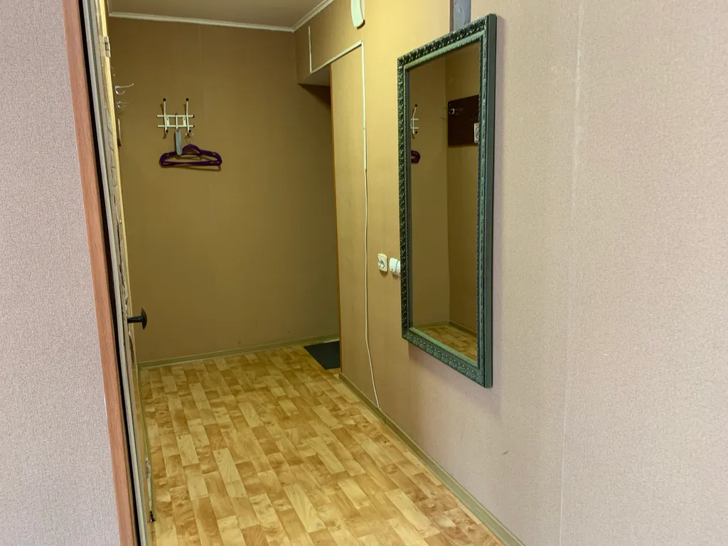 Квартира Однокомнатная квартира у Парка имени Гагарина — Красноярск