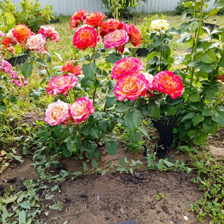 1/2 часть дома в купеческом историческом доме