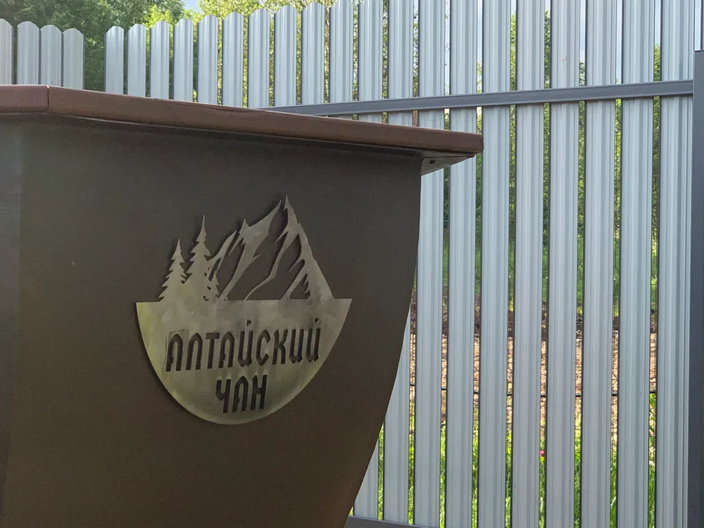 Виноградная лоза