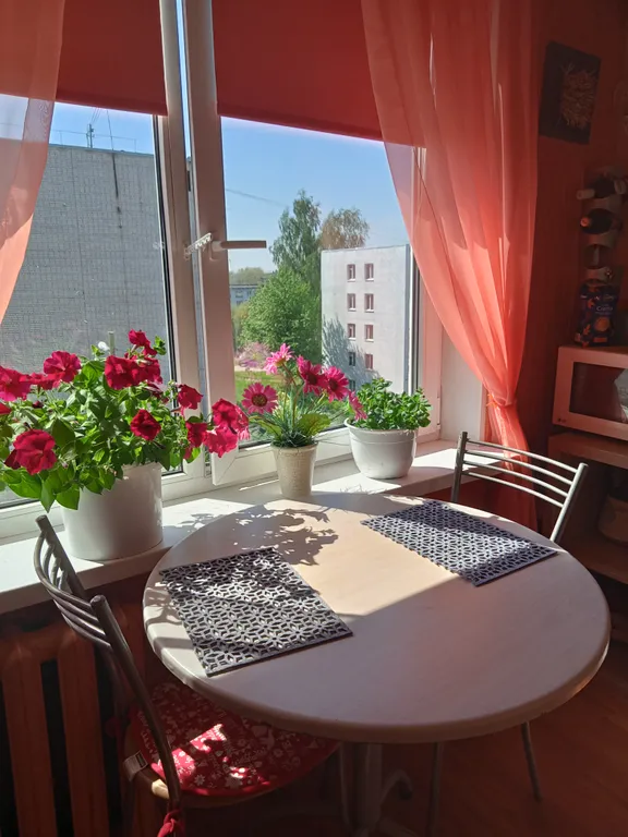 Уютная квартира около центра города