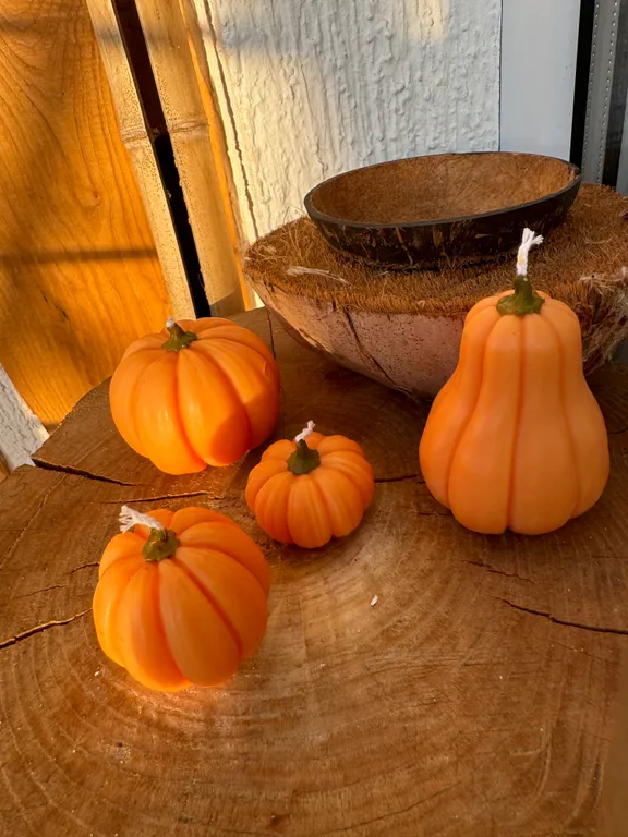 Квартира Квартира Студия с видом на сосну в бамбуковой роще — Сириус